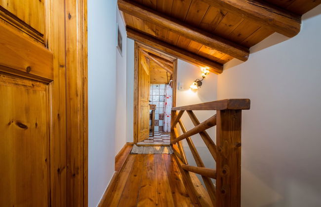 Tierra Olivo - Foto 5