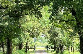 Gîtes de charme "l'écrin de Vendée" jacuzzi privatif, piscine chauffée, prestations bien être, vélos à 10 mn de l'océan sur 3,5 h de verdure - Photo 7