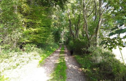 Schleiden Timber-frame Retreat - Foto 59