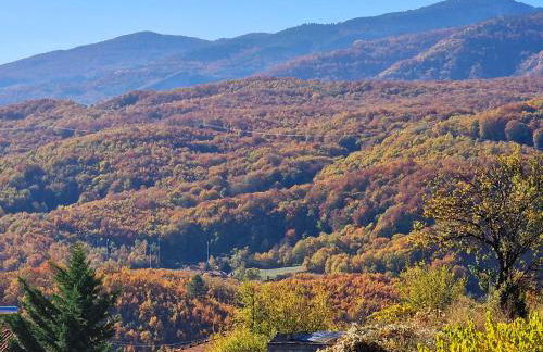 Guest house Elatochori - Foto 30