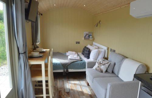 Shepherds Hut, The Sett, No Hot tub, 1 Pet - Foto 8