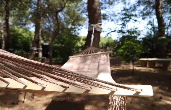 Azienda Agricola Francesca Stajano - Foto 78