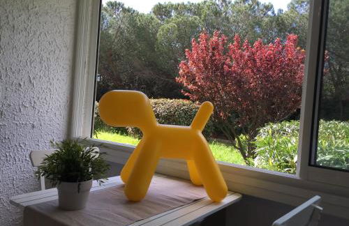 Entre mer et mer - Foto 6