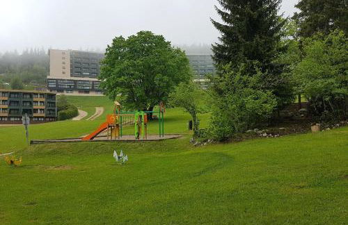 STUDIO CHALEUREUX aux pieds des pistes de ski des Glovettes - Foto 37