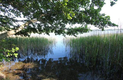 Landhaus am See - mit Strandkorb an der Ostsee - Foto 25