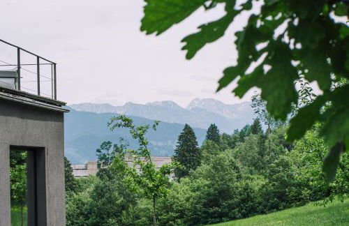 Beim Julius - Foto 3