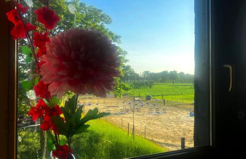 Ferienwohnung Wiesenblick - Foto 27