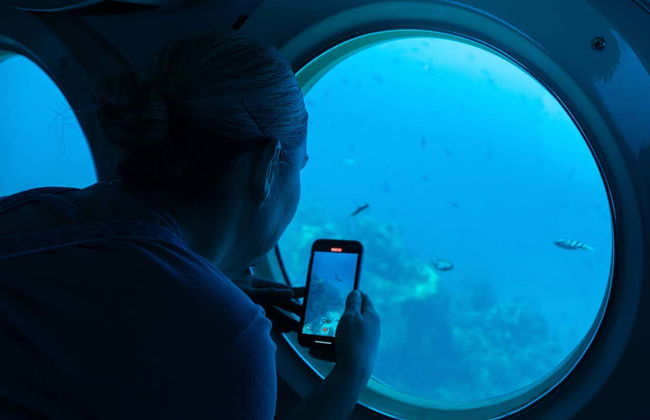 Paseo en submarino por Cozumel - Foto 14