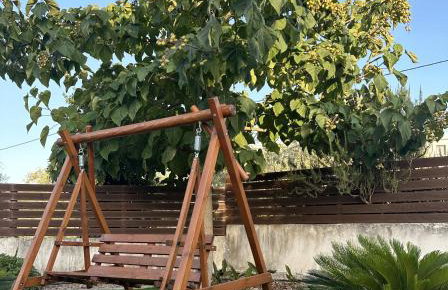 Vicula Mauras - Foto 40