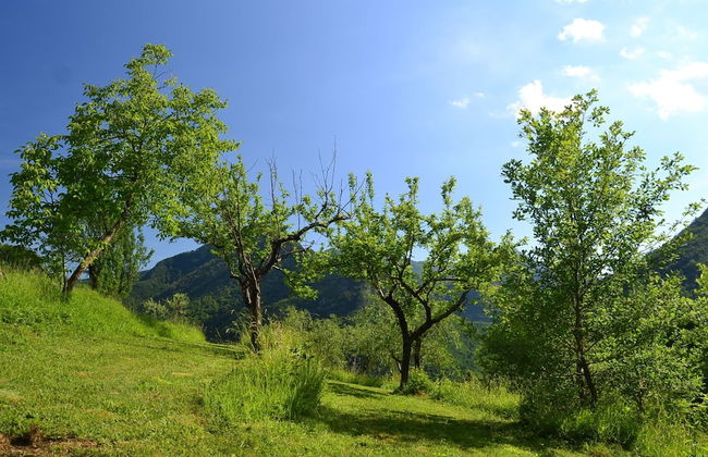 Belvilla by OYO Boccabugia del Colle - Foto 25