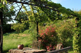 Casina Di Cornia - Foto 23