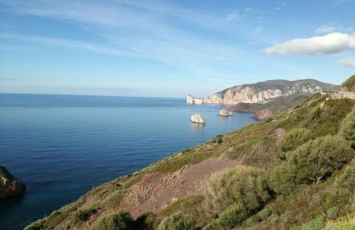 Rosemary Flavor - Foto 12