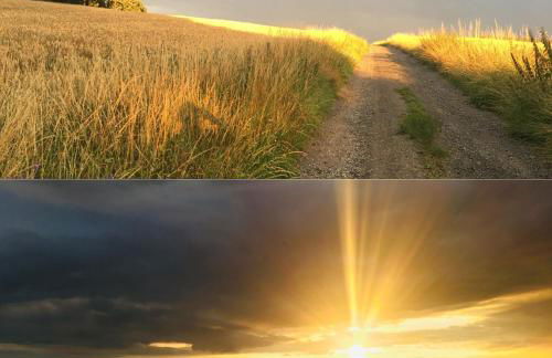 Innas Ambiente - Foto 7