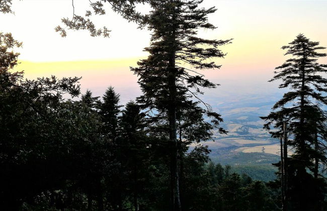 Casa Isabela Luxury Rooms - Foto 57