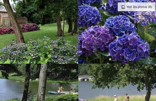 Studio, sur le Chemin des Hortensias - Foto 15