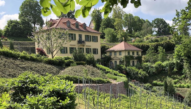 Rebenhaus Meißen - Foto 2, Imagen principal