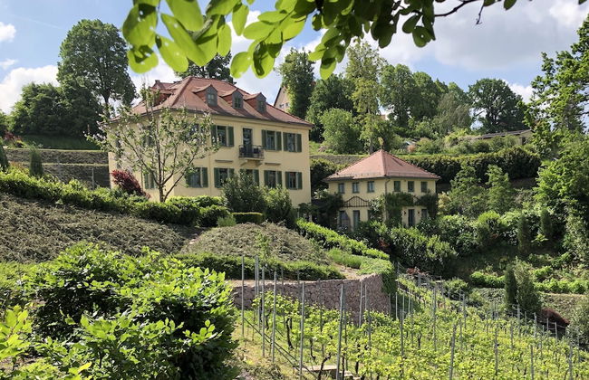 Rebenhaus Meißen - Foto 1