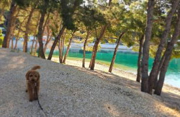 Mobile Home Sea Shell Šime, Drage - Foto 28