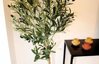 Nibelungen Apartments - Worms-Hochheim - Foto 42