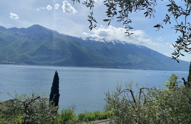 Apartment in Limone sul Garda - Foto 16