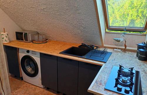 Świerkowe Siedlisko pokoje gościnne - Foto 14