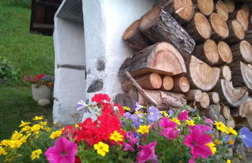 Natur Apartments Riesen - Photo 74