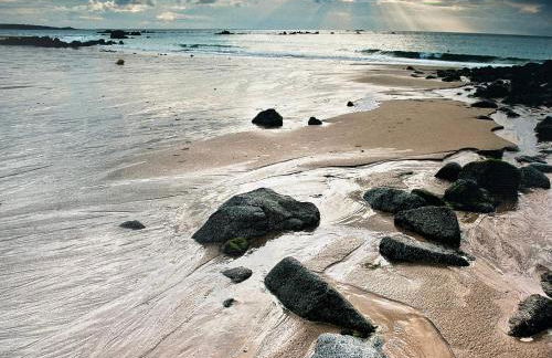 La Langouste ROUGE - Foto 17