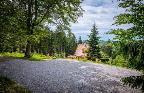 Sonnenhäusle - Natur. Fernblick. Panorama-Sauna. - Foto 80