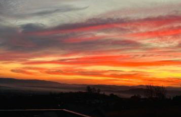 Ostre Natura - Foto 15