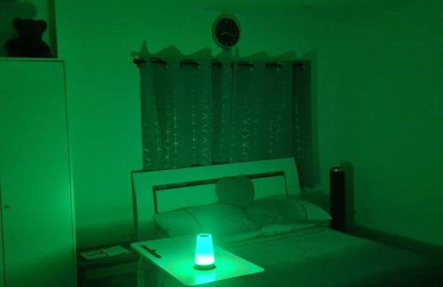 Luxury studio with parking whole unit to yourself - Photo 10