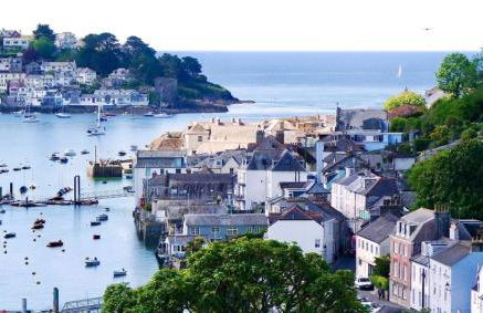 Oystercatcher - Foto 4