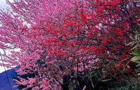 La casa della Cindy - Foto 7