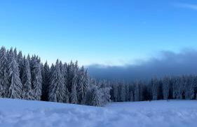 Ferienhaus Doina - Photo 62