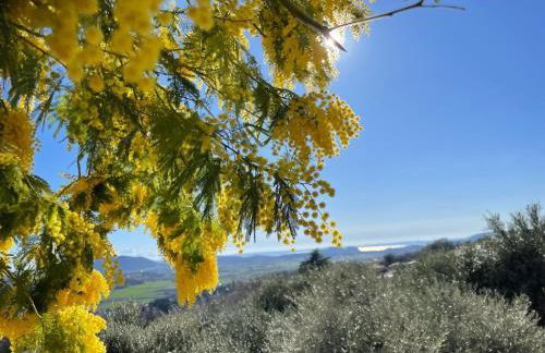 Dimora Borgo Gaon - Casa Elios con wi-fi e 3 bagni - Foto 1