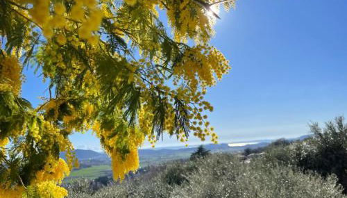 Dimora Borgo Gaon - Casa Elios con wi-fi e 3 bagni - Foto 1