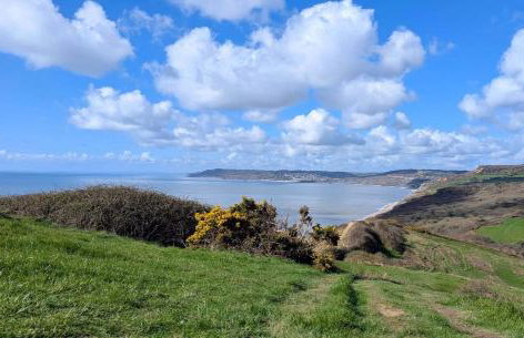 Strongate View Apartment - cosy stylish rural Jurassic coast & Bridport nearby - Foto 30