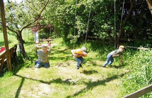 Hanauerhof - Foto 14