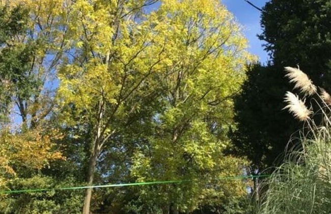 Majestic Apartment in Trarego-viggiona - Foto 25