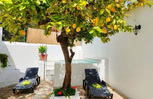 Casa el Patio del Limón, con piscina - Foto 1