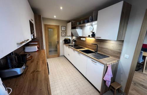 Vue du Mont-Blanc - Photo 18