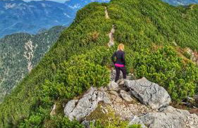 Ferienwohnung Green Deer - Foto 34