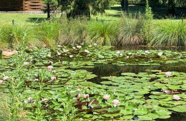 Domki nad Stawem Uherce - Foto 9