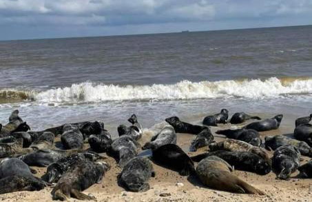 107 Headwards Retreat - Foto 30