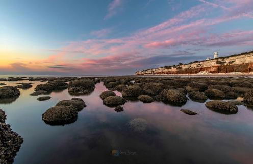 The BeeHive - Foto 29