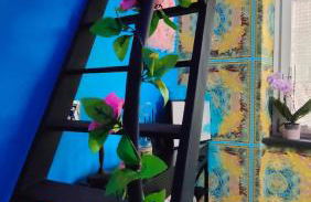 Secret Room Anagni - Foto 19