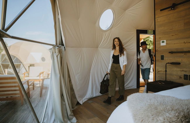 Cross Hill Glamping - Photo 6