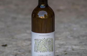 Casa Guarnieri - Foto 34