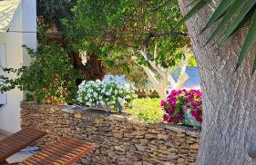 Passione Mare - Foto 42