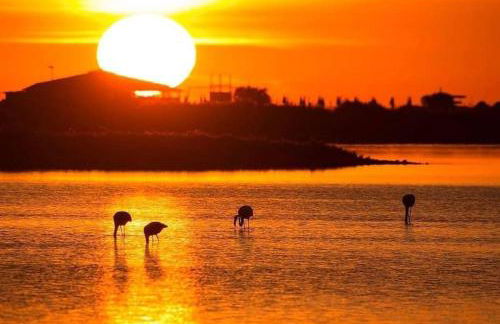 Casa vacanza Muravera "House Gardens" - Foto 26