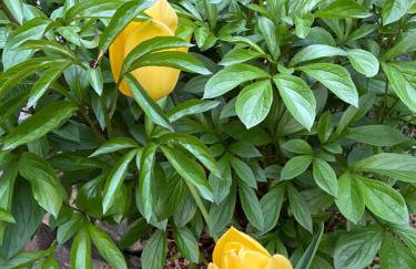 Uroczy dom i bezpłatny parking - Foto 36